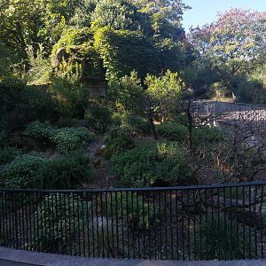 European tortoise exhibit