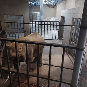 Tembea - Elephant training box