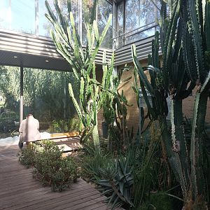 Etosha - Nephila spider walkthrough