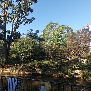 Squirrel monkey and woolly monkey island