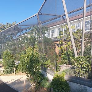 Bird house - Outdoor aviaries