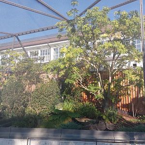 Bird house - Outdoor aviary example