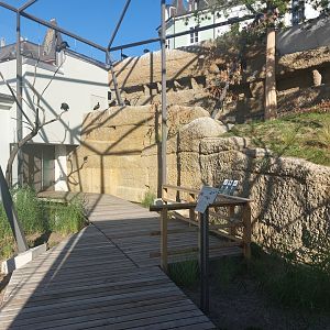 Bird house - Waldrapp walkthrough