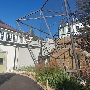 Bird house - Waldrapp walkthrough