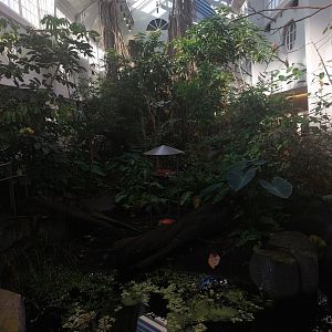 Bird house - Main walkthrough