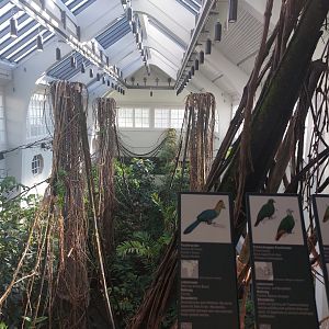 Bird house - canopy view