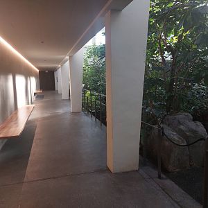 Bird house - pathway