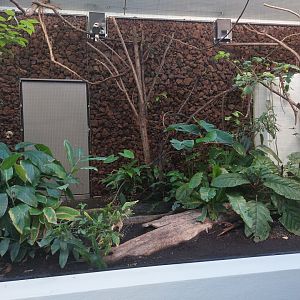 Bird house - Side aviary