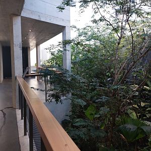 Bird house - Neotropical walkthrough