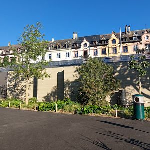 Bird house - neotropical section