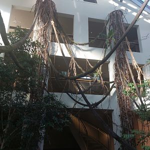 Bird house - observation deck