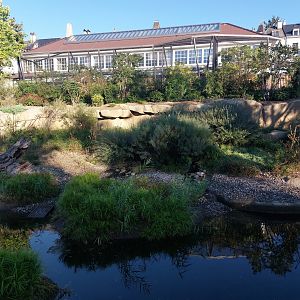Small-clawed otter enclosure
