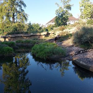 Small-clawed otter enclosure