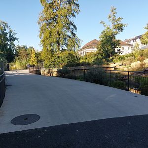 Bridge between otters & pelicans