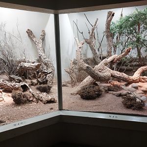 Vivarium - Australian terraria