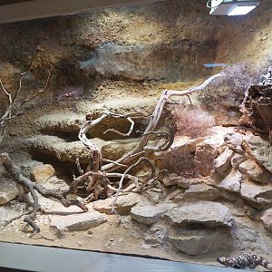 Vivarium - Gila monster exhibit