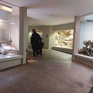 Vivarium - general view