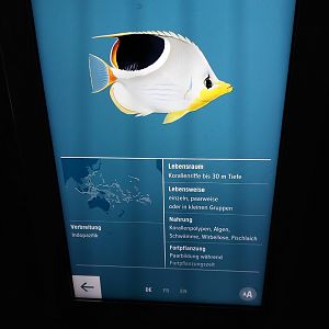 Vivarium - signage example