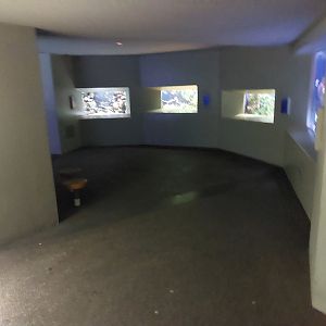 Vivarium - general view