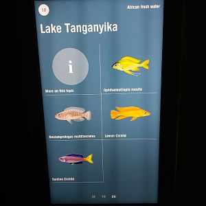 Vivarium - signage example