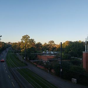 The zoo as green oasis