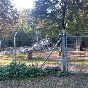 Rocky Mountains goat paddock