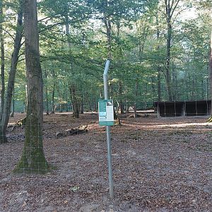 Rocky Mountains goat paddock