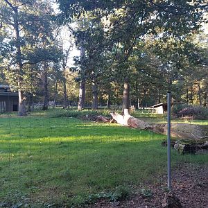 Vietnamese sika deer paddock