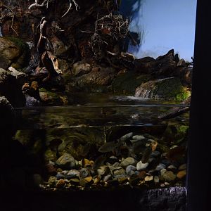 Piedmount and Mountains - James River Exhibit 2