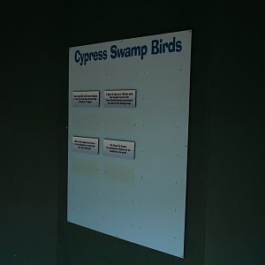 Cypress Swamp - Empty Bird Signage