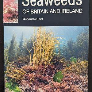 Seaweeds of Britain
