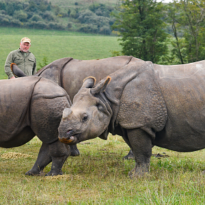 Sep. 2023 - Asian Pastures - Indian Rhinos + Keeper