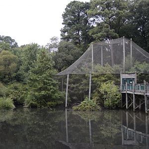 Outdoor Trail - Coastal Plain Aviary and Landscape