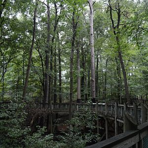 Outdoor Trail - Landscape