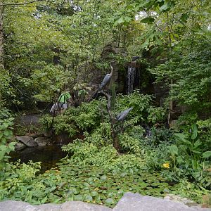 Outdoor Gardens - Waterfall Pond and Sculptures