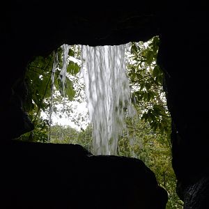 Outdoor Gardens - The Backside of Water