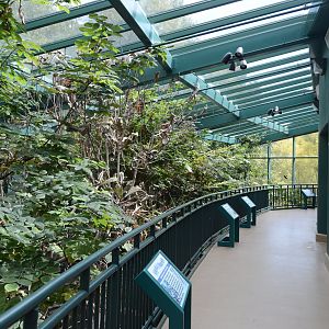 Applachian Mountain Cove - Upper Level Overview