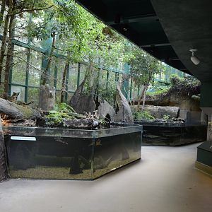 Cypress Swamp - Overview