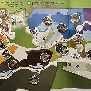 Zoo Map - undated