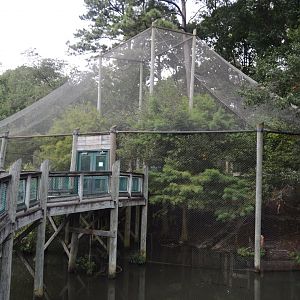 Outdoor Trail - Coastal Plain Aviary