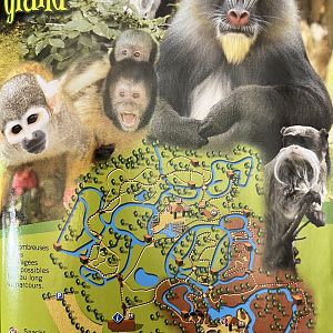 Zoo Map - 2005