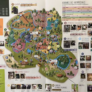 Zoo Map - 2020