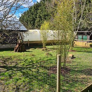 Dik-dik enclosure, Hamerton