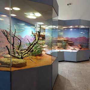 Australian reptile exhibits