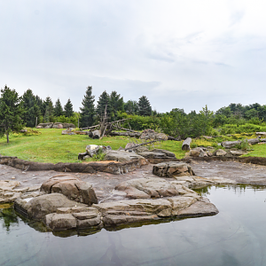 Sep. 2023 - Polar Frontier - Polar Bear Exhibit Panorama