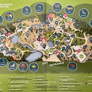 Zoo Map - 2018
