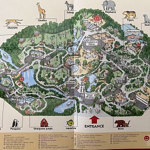 Zoo Map - 2013 (English)