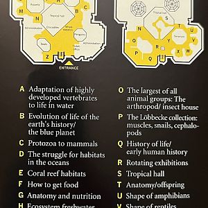 Aquarium Map - undated