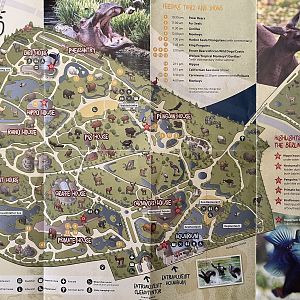 Zoo Map - 2014 (English)
