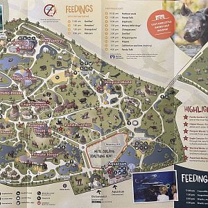 Zoo Map - 2019 (English)